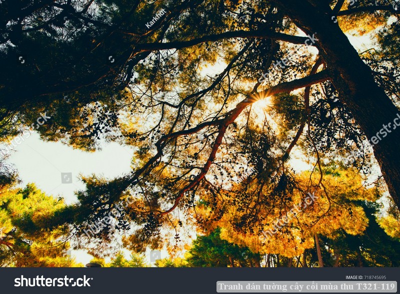 Tranh dán tường cây cối mùa thu T321-119